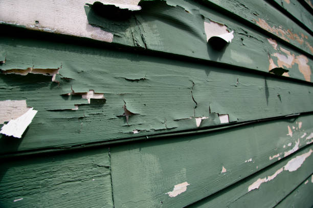 Affordable siding repair and maintenance services in Madison Heights, VA
